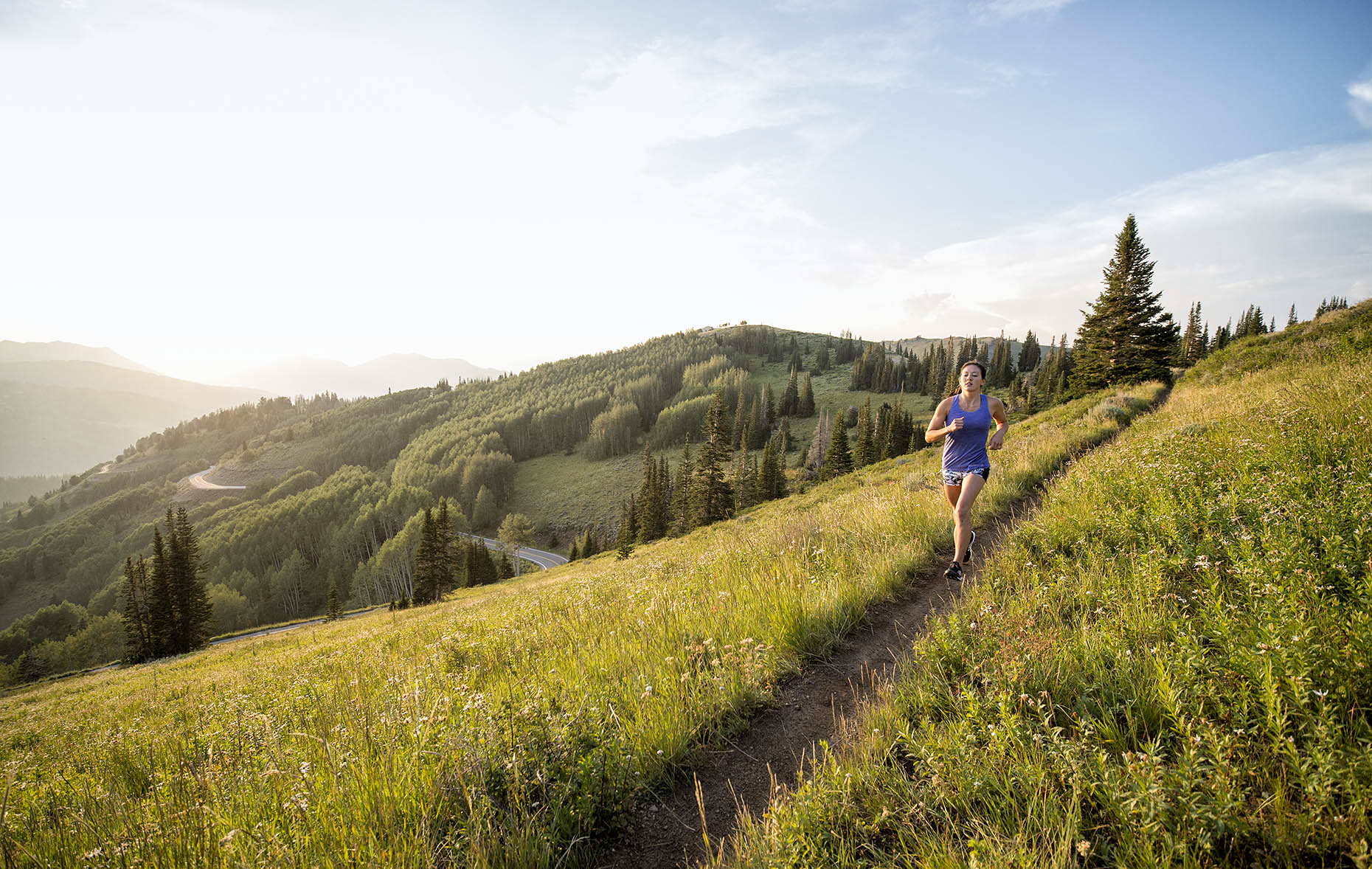 Wasatch Crest Trail. 
